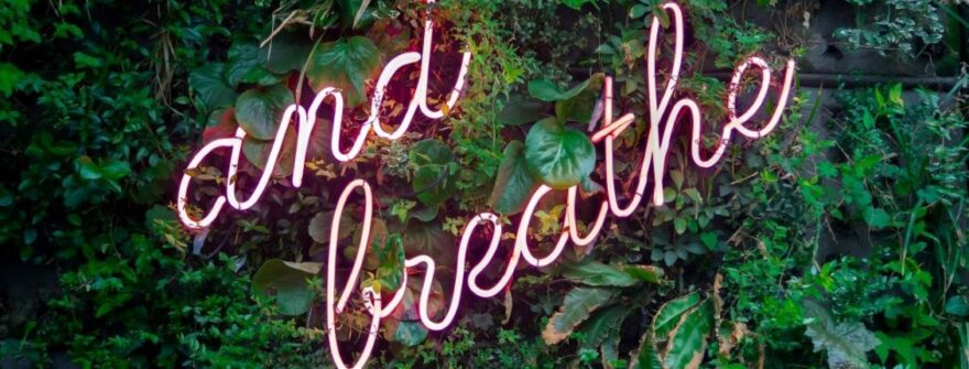 Conflict Resolution Tips for Handling & Resolving Conflicts with Clients