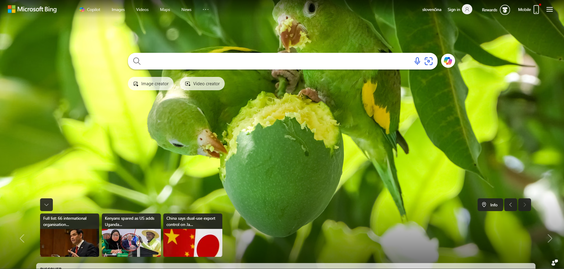 Bing Help Desk Contacts