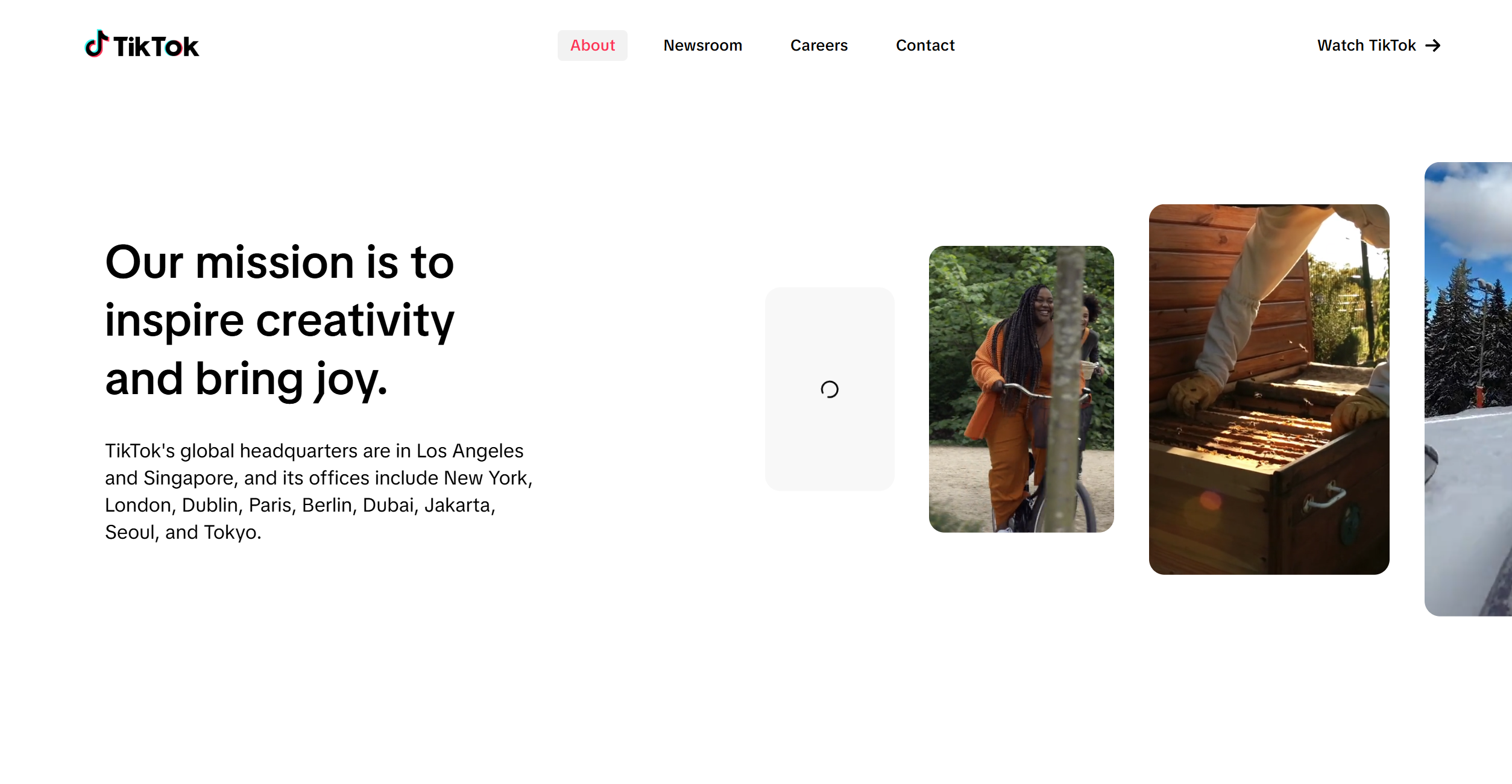 TikTok Help Desk Contacts