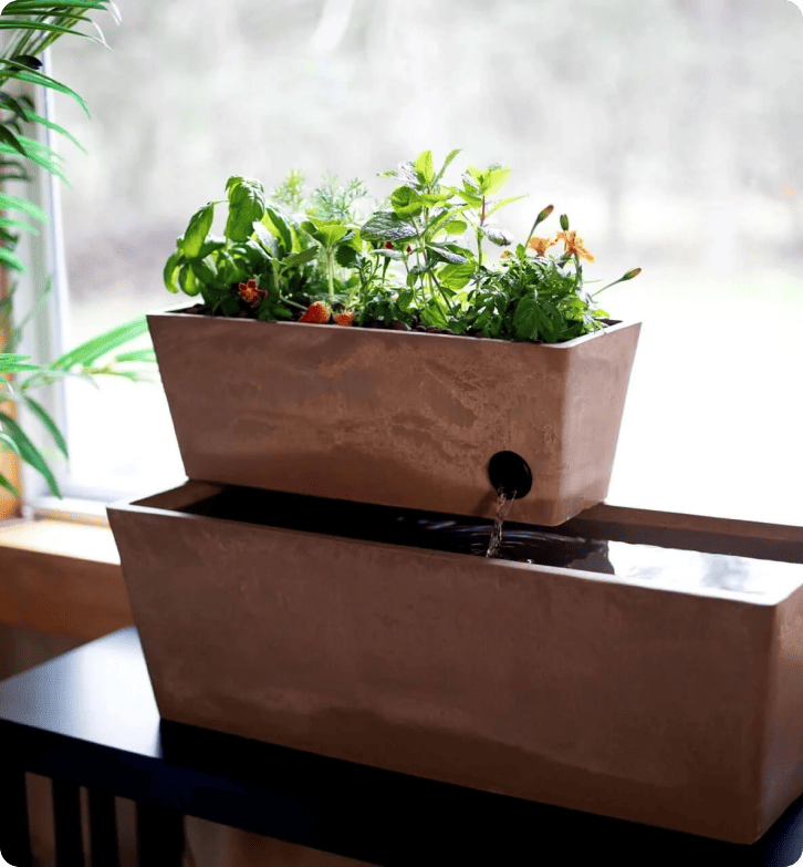 How AquaSprouts achieves 96.5% customer satisfaction rate with LiveAgent