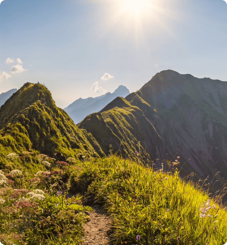 How ZlavaDna improved customer support with LiveAgent